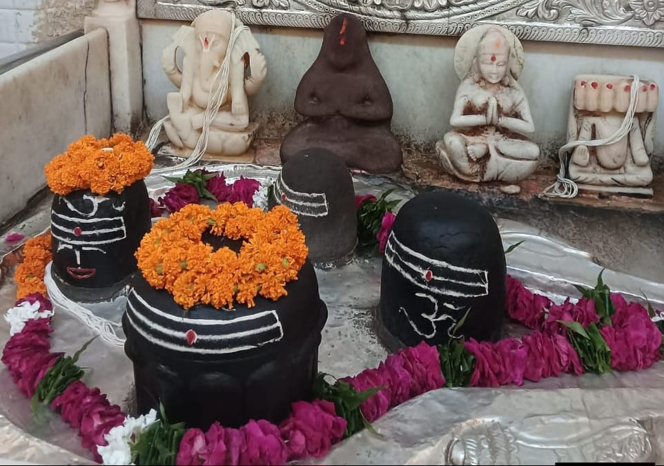 महाशिवरात्रि पर्व पर धूमधाम से निकलेगी राजाधिराज की बारात